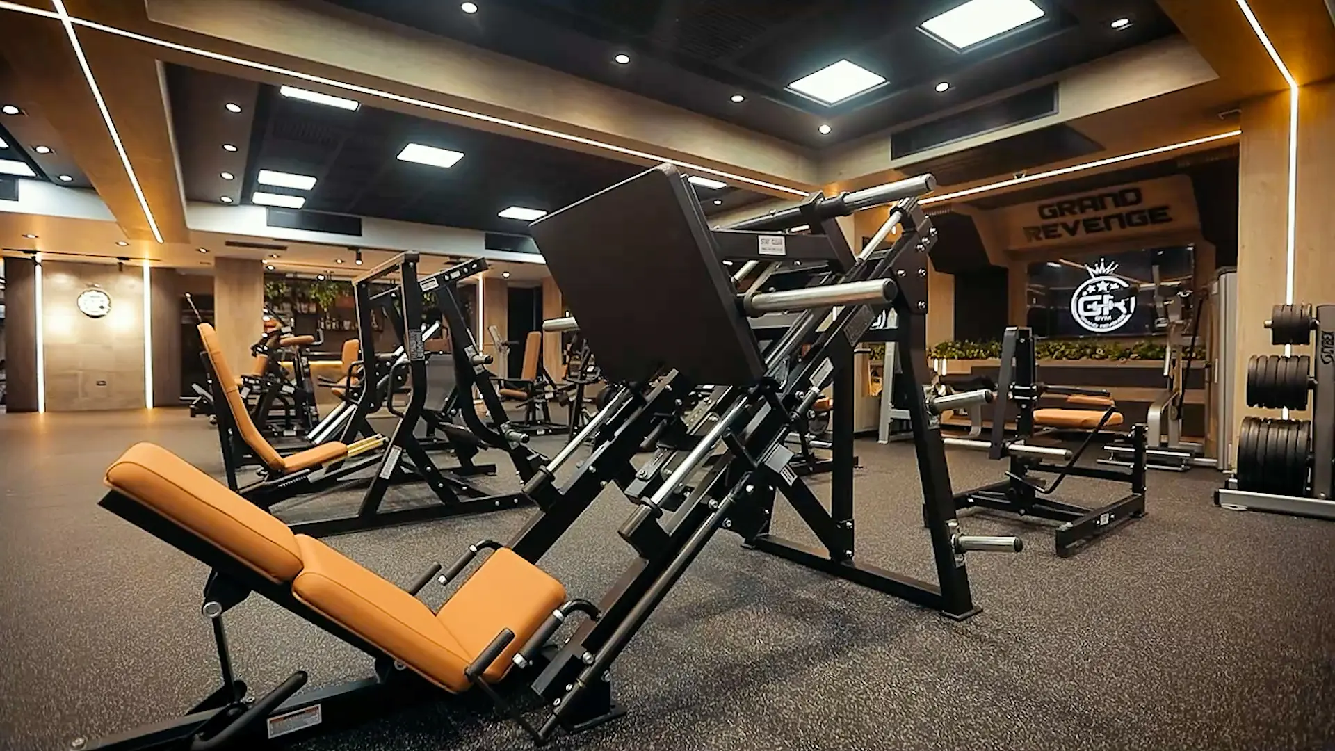 Spa & Wellness