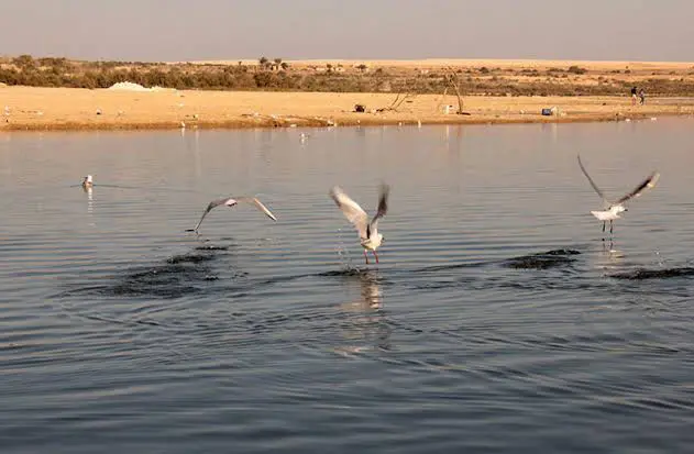 Lake Qarun