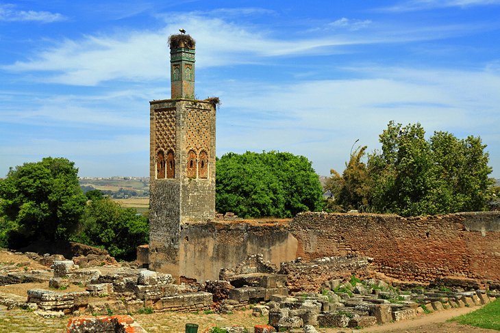 Chellah Necropolis