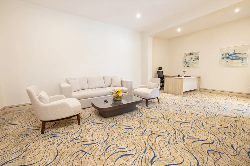 Antoniades Premium Suite